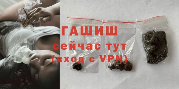 соль ск Пересвет
