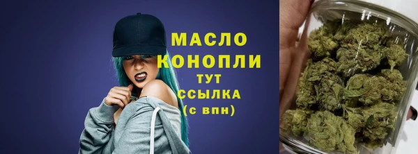 соль ск Пересвет
