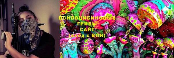 соль ск Пересвет