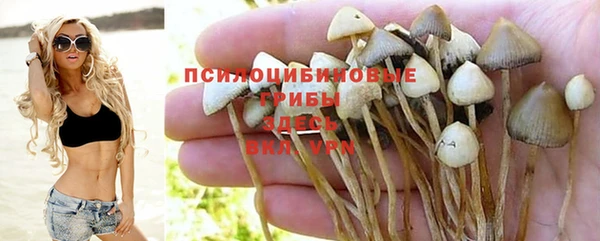 соль ск Пересвет