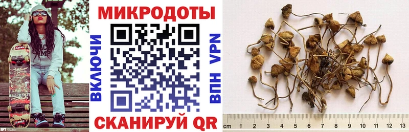 Псилоцибиновые грибы GOLDEN TEACHER  маркетплейс наркотические препараты  Щучье 