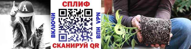купить наркотик  hydra ссылка  МАРИХУАНА AK-47  Щучье 